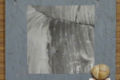 Animalia.-Cicatrice-orta-est.-2