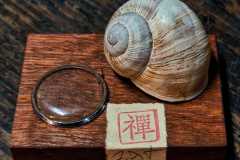 Plzitka_2026_-14