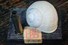 Plzitka_2026_-4