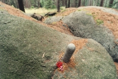 Shiva-lingam