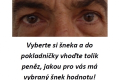 Snek-na-sutru-vystava-Sestak-7