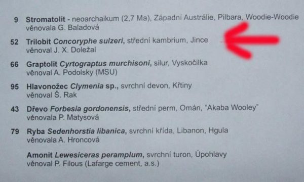 Trilobit v Chlupacove muzeu