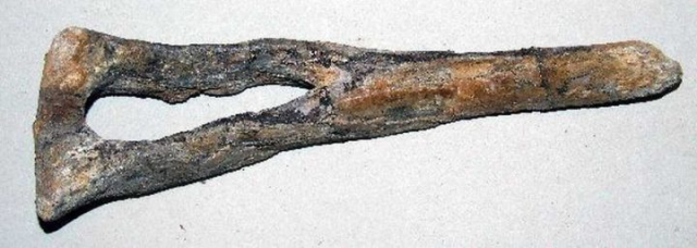 Atlasaurus-imelakei-1