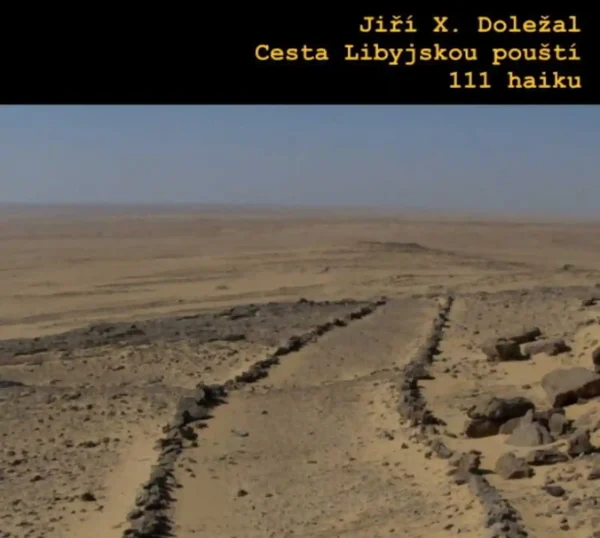 Cesta-Libyjskou-pousti