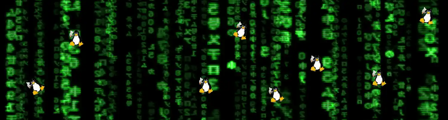matrix