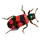 BIBUWAY
