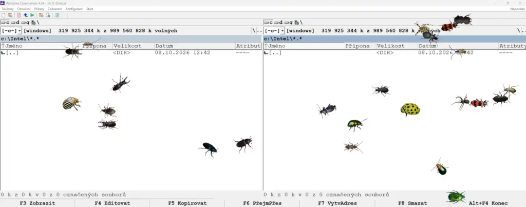 Bug Dance