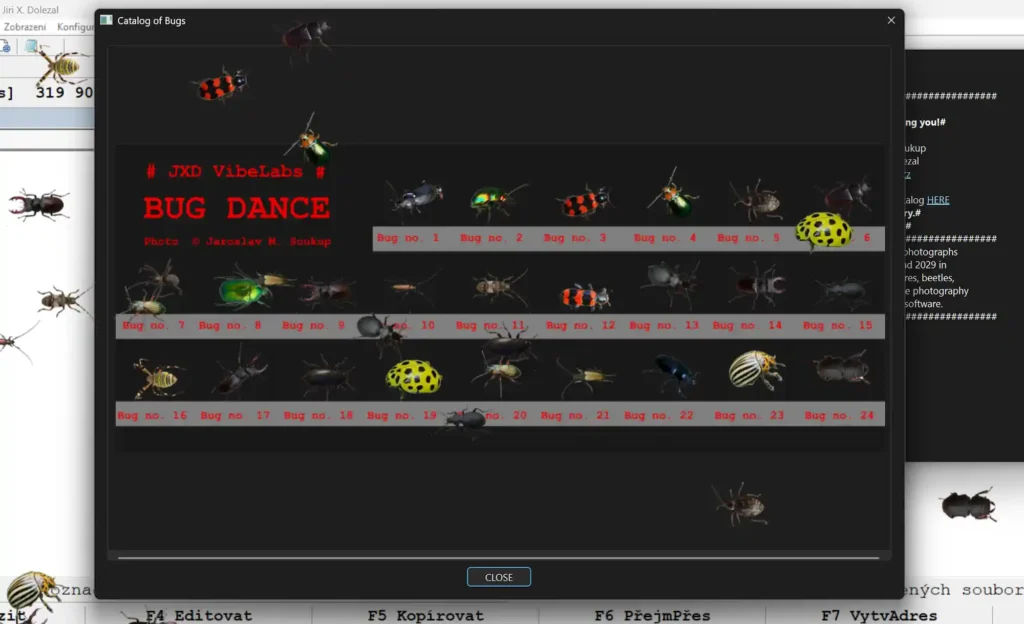 Bug Dance